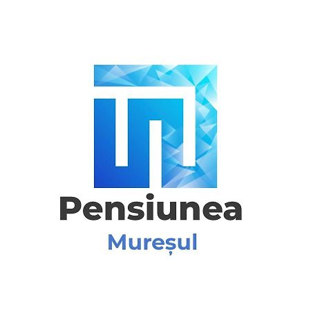 Pensiunea Muresul Târgu-Mureş Exteriér fotografie